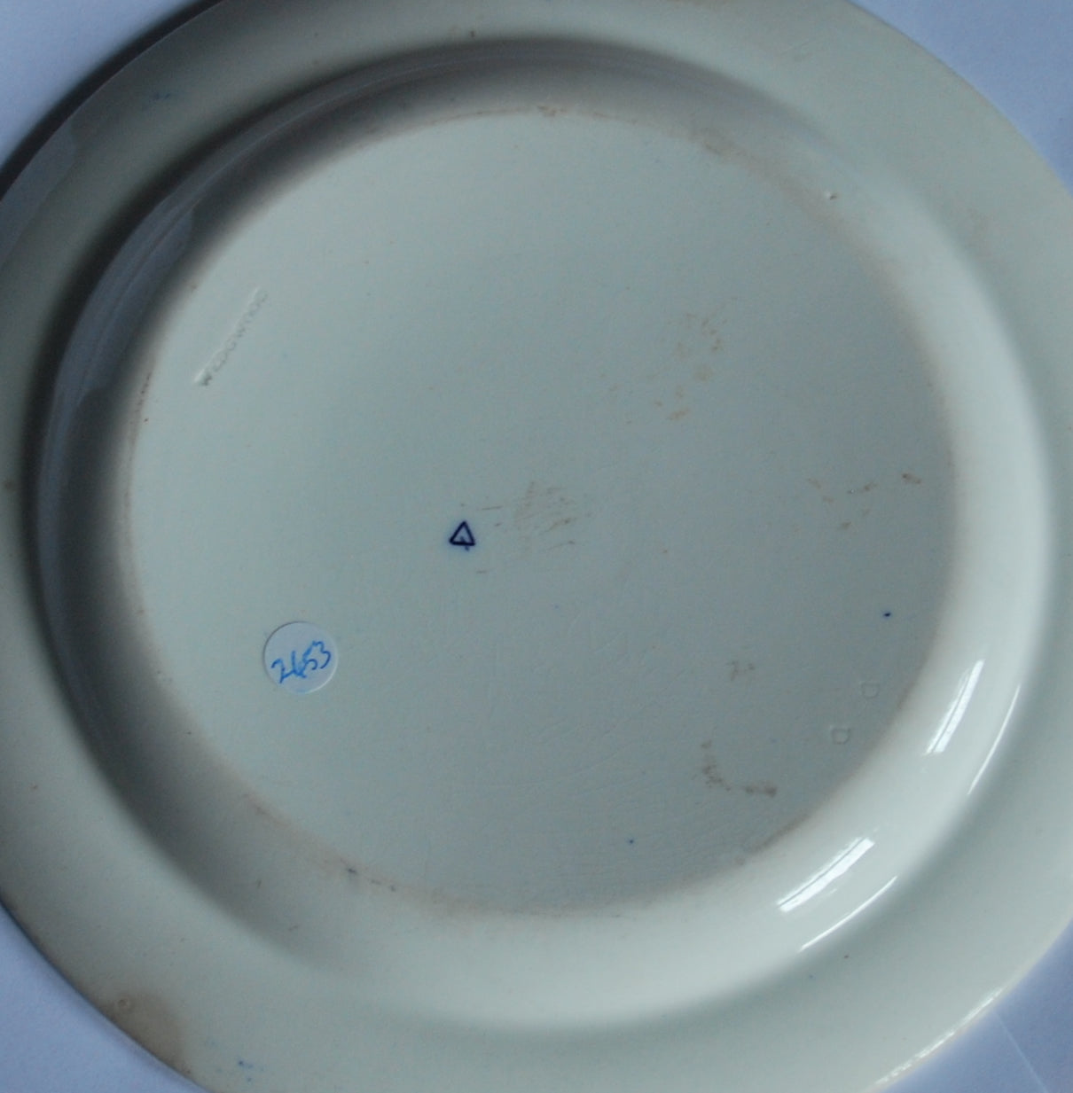Plate, botanical