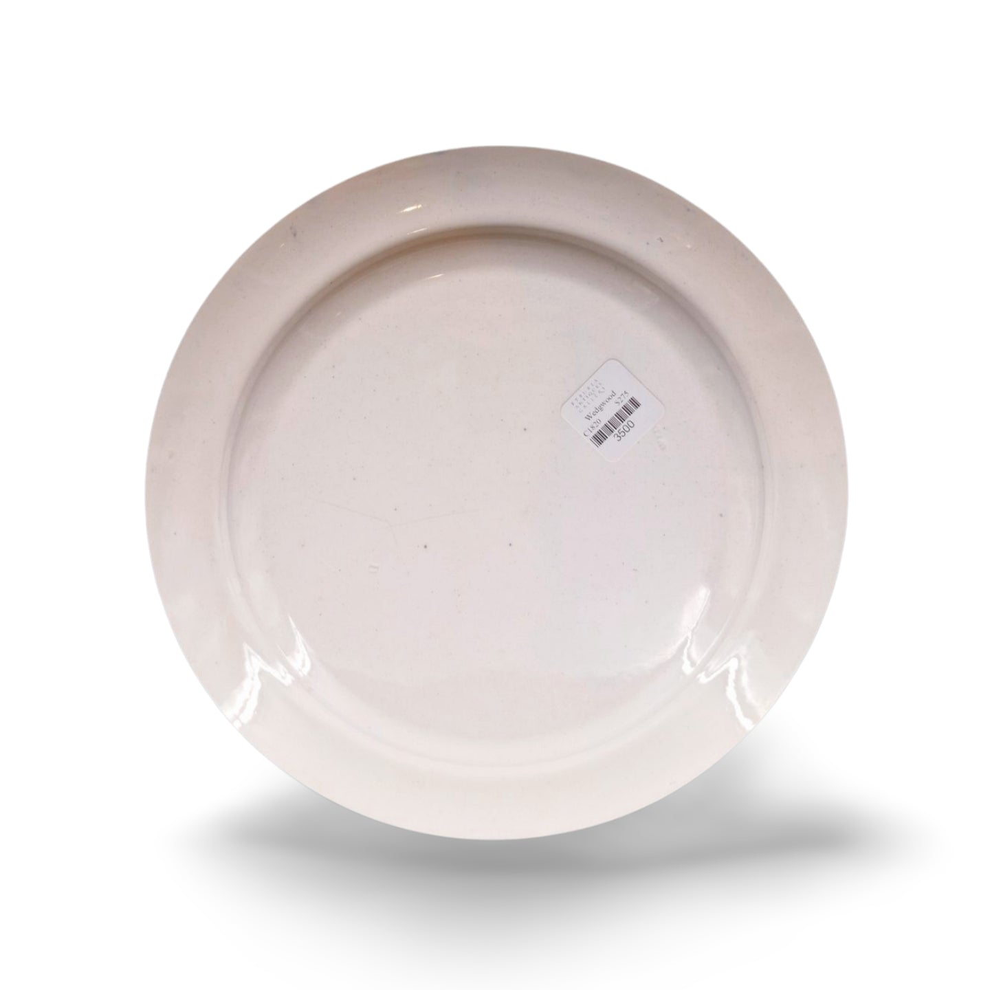 Plate: Botanical specimens