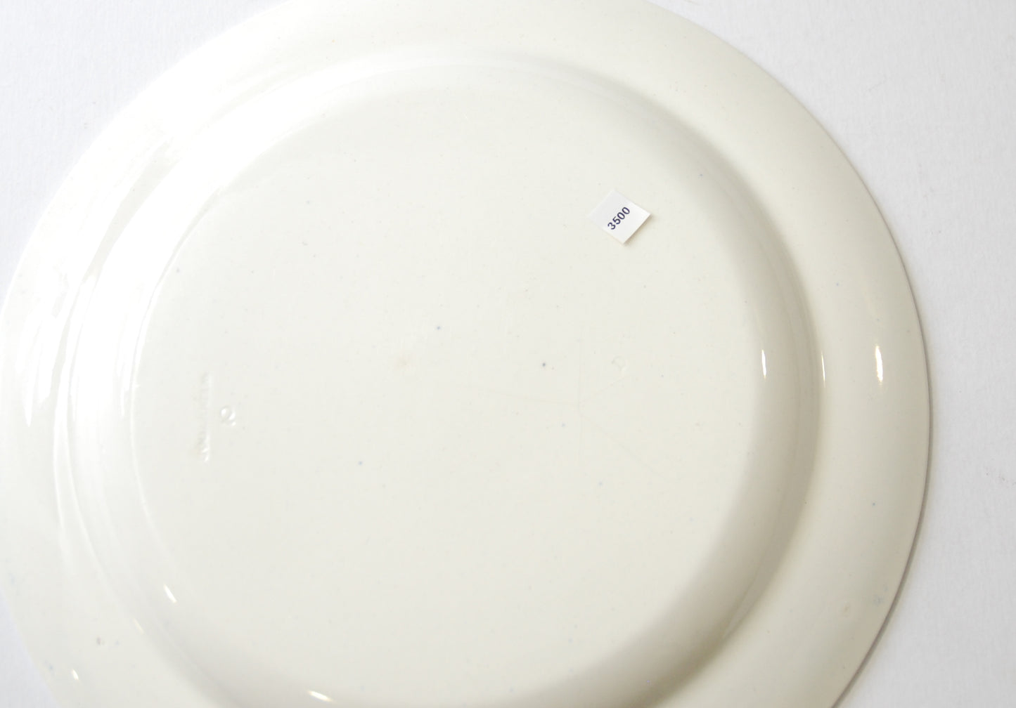 Plate: Botanical specimens