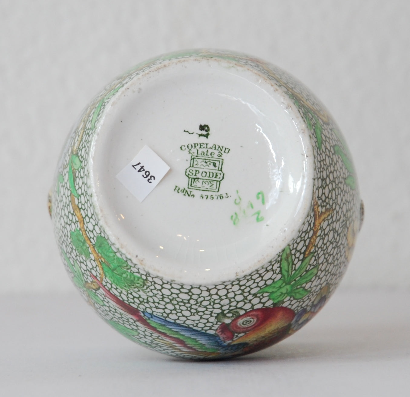 Portland Vase: Parrot