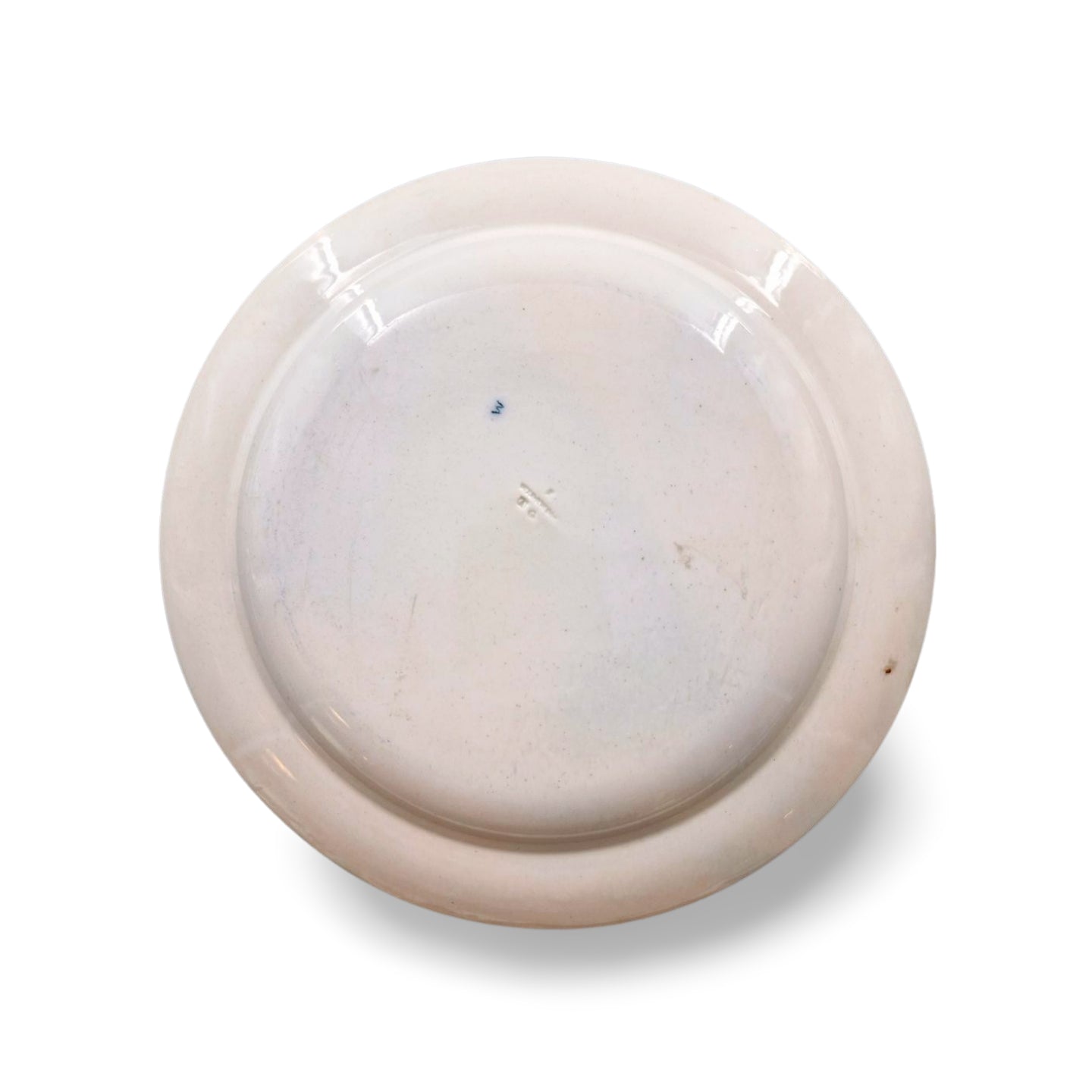 Pair Botanical plates, circle border
