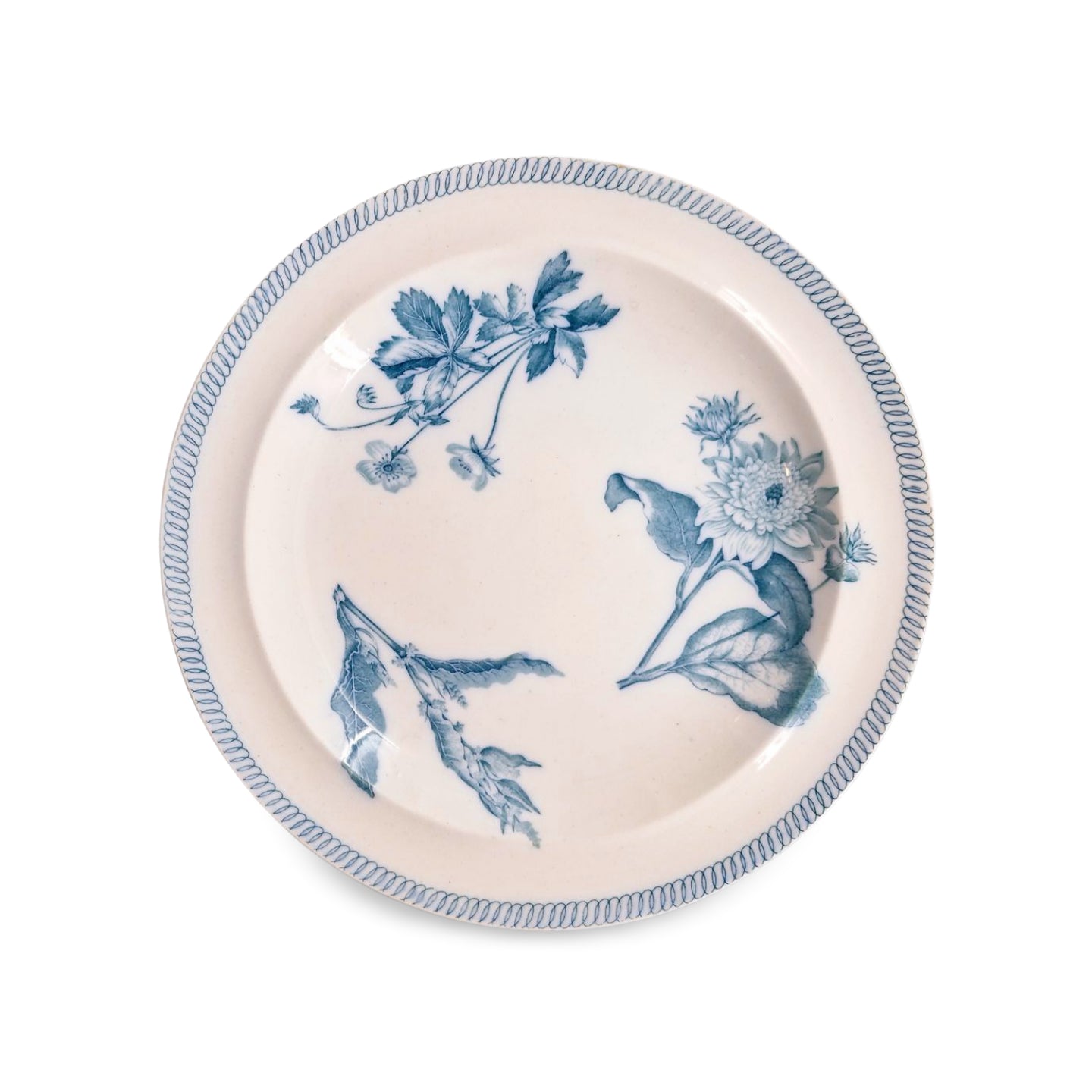 Pair Botanical plates, circle border