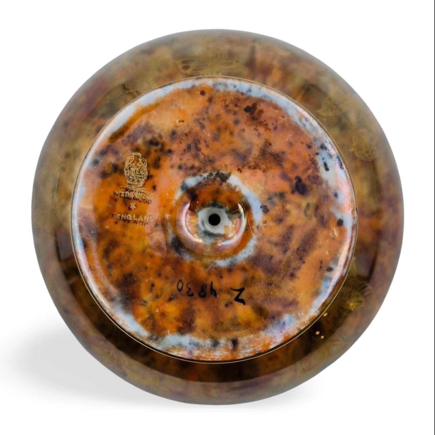 Melba Cup: Orange, Butterfly - 4