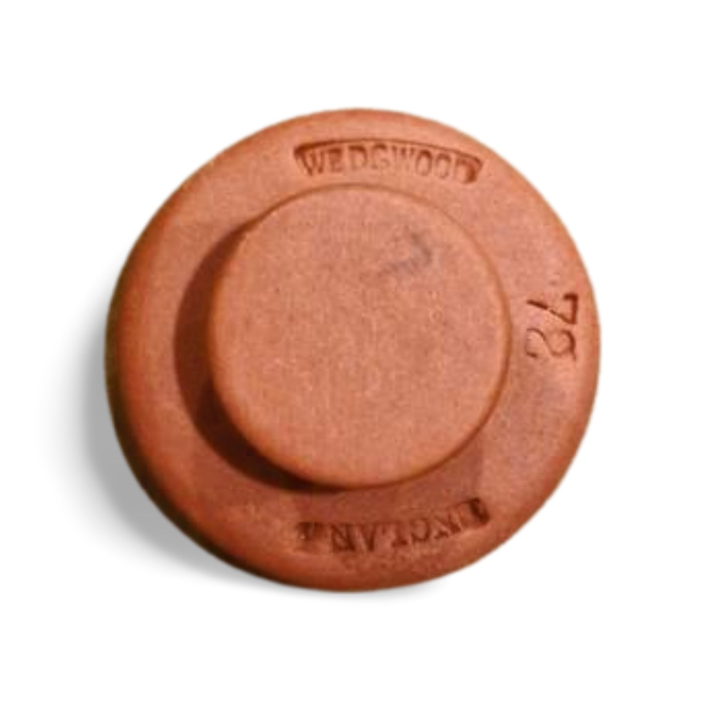 WIS Seminar Button - White on Terracotta