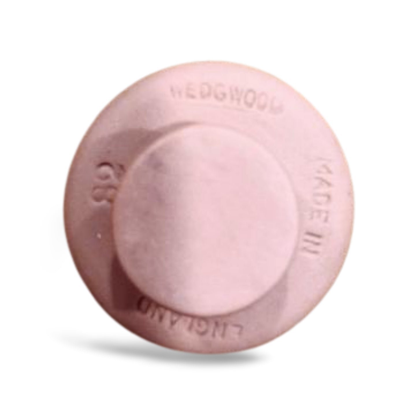 WIS Seminar Button - White on Pink