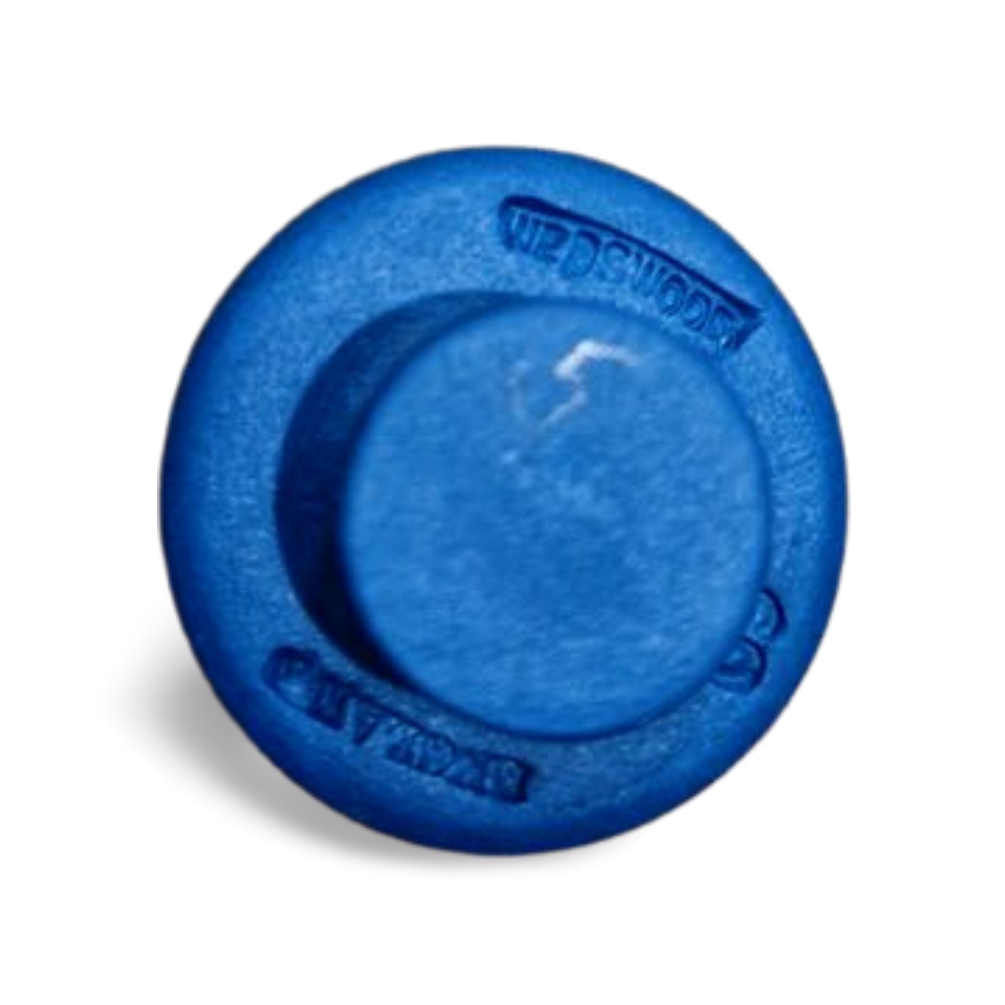 WIS Seminar Button - Pale blue on Portland Blue (1)