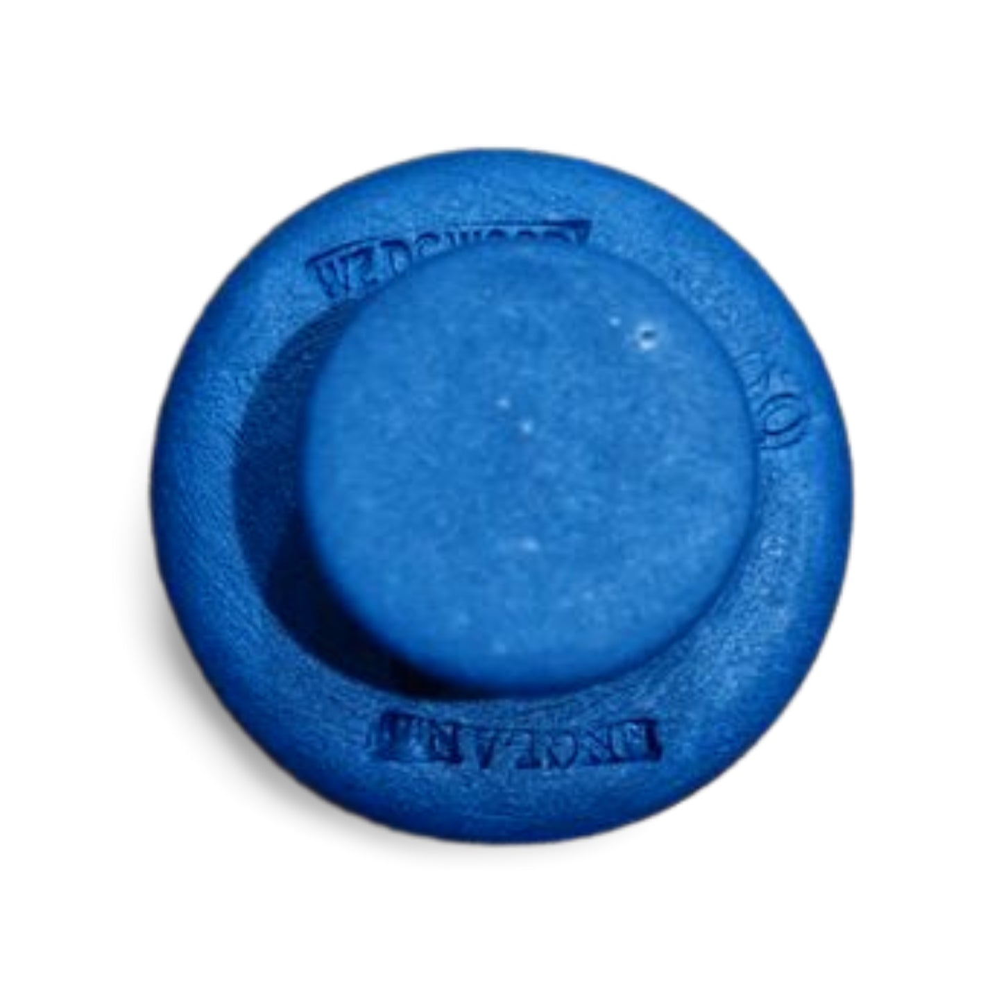 WIS Seminar Button - Pale blue on Portland Blue (2)