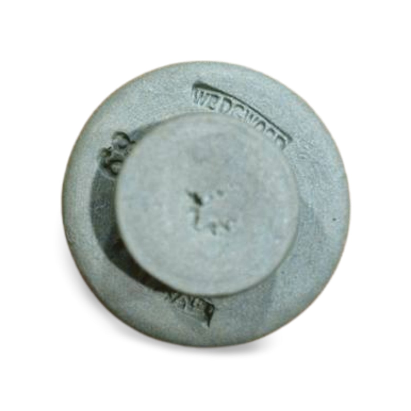 WIS Seminar Button - Black on Sage Green