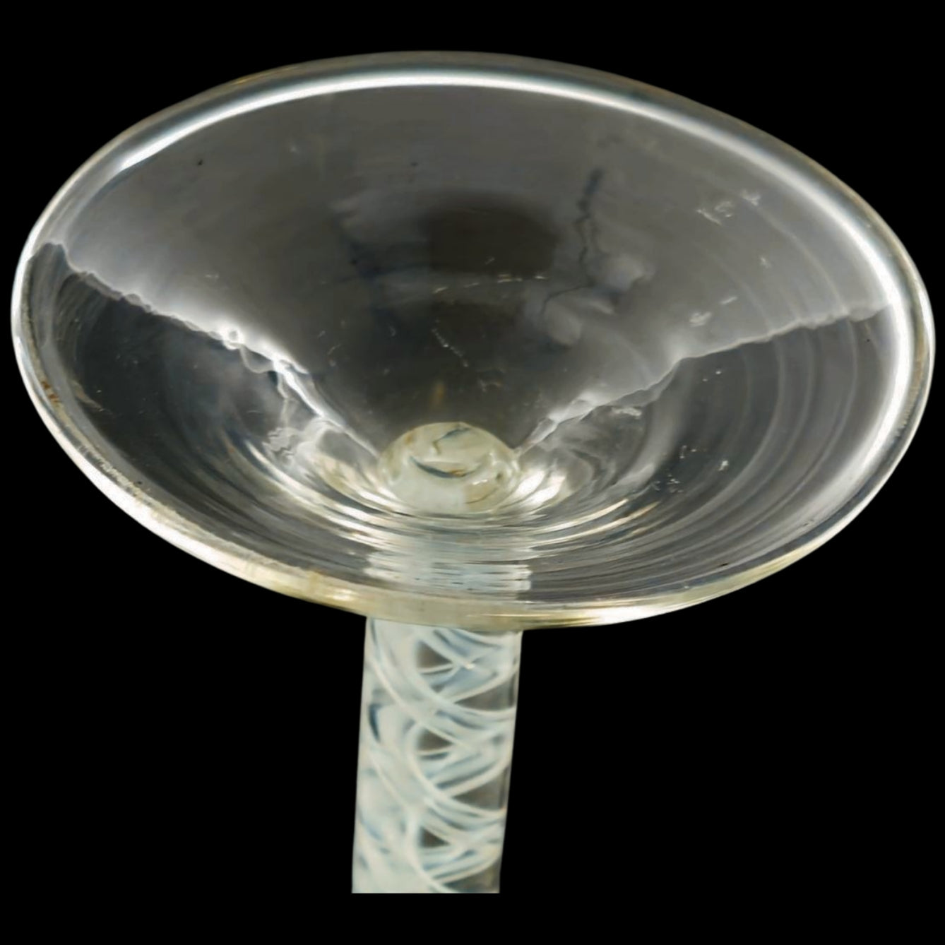 Wine glass