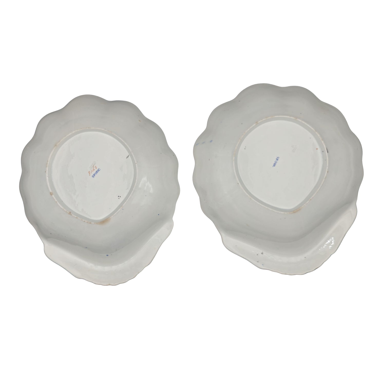Shell Dishes