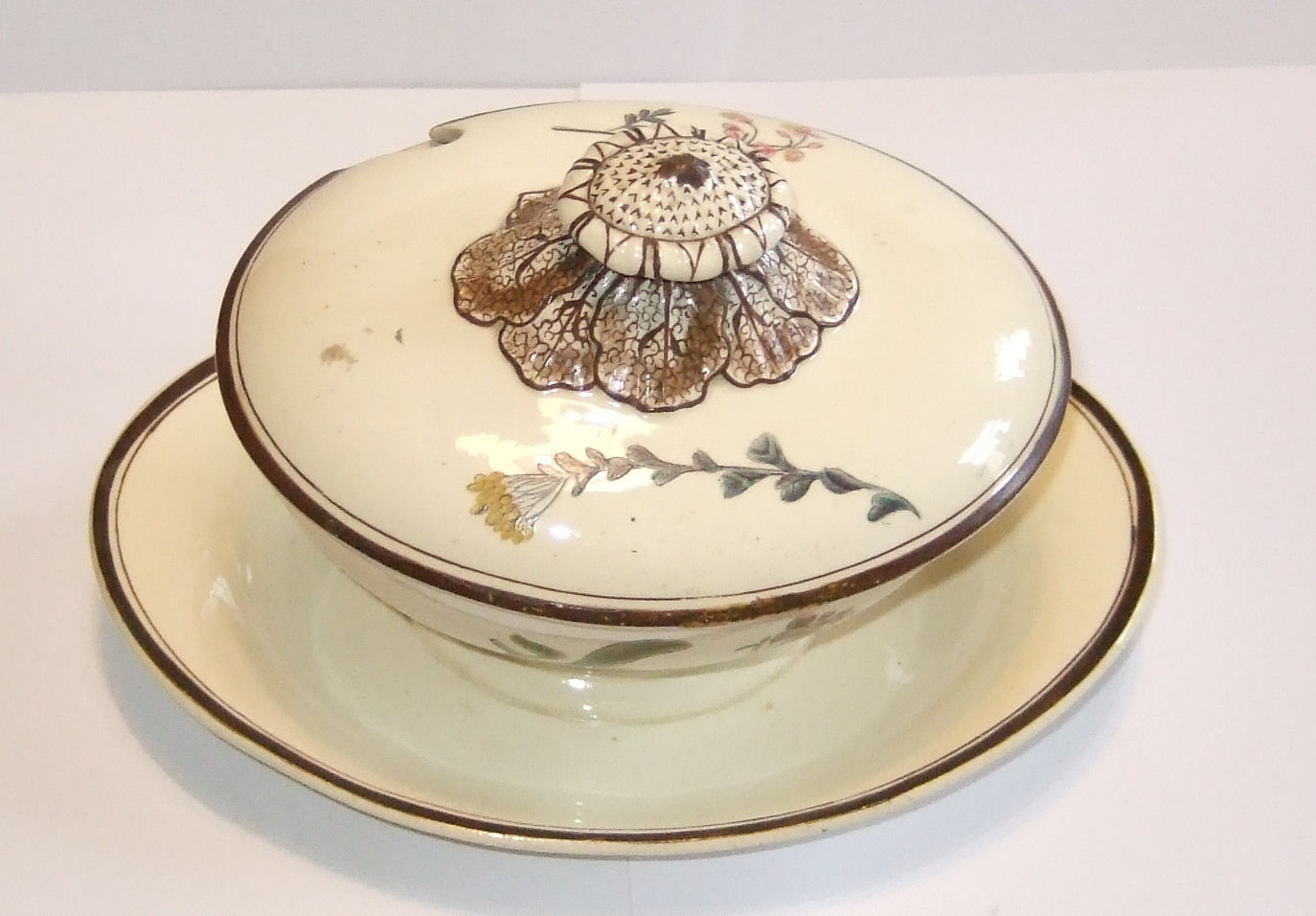 Tureen: botanical