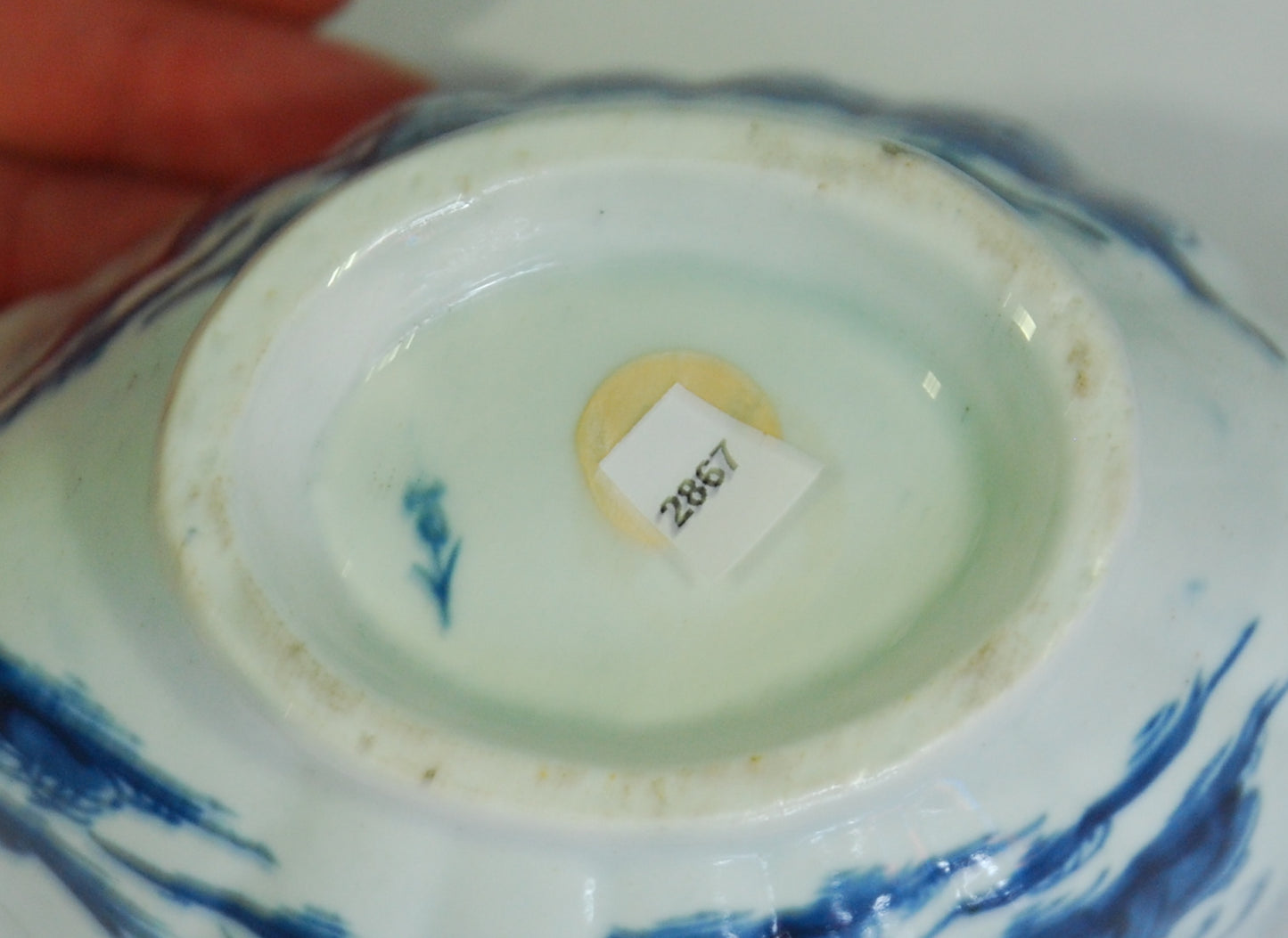 Sauceboat: Fringed Tree