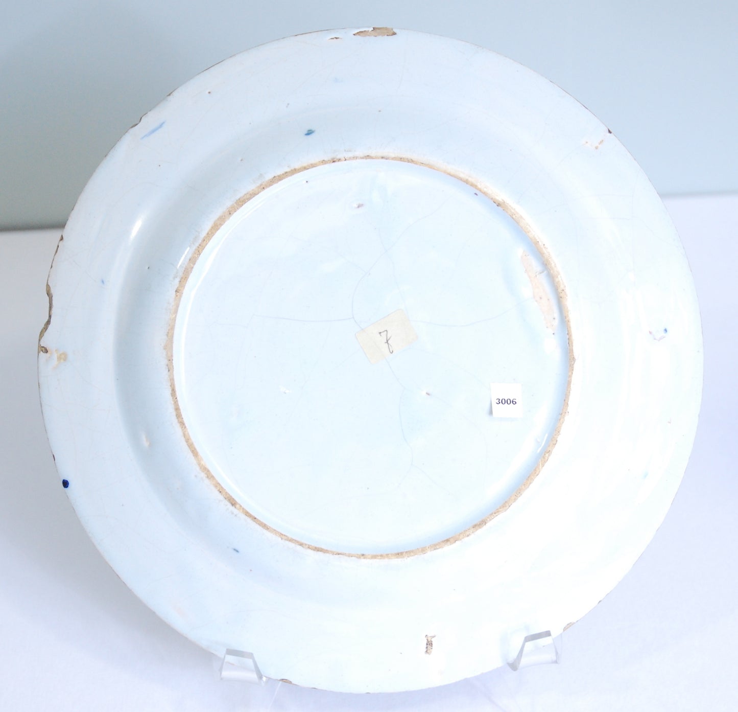 Delft Plate: Parrot by a rock