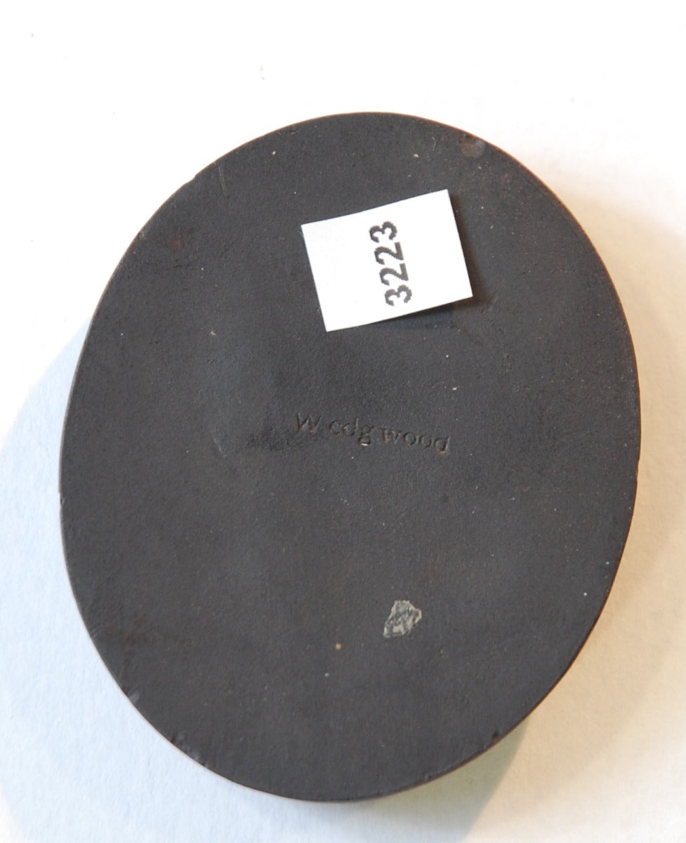 Portrait medallion: Oldenbarndenveld