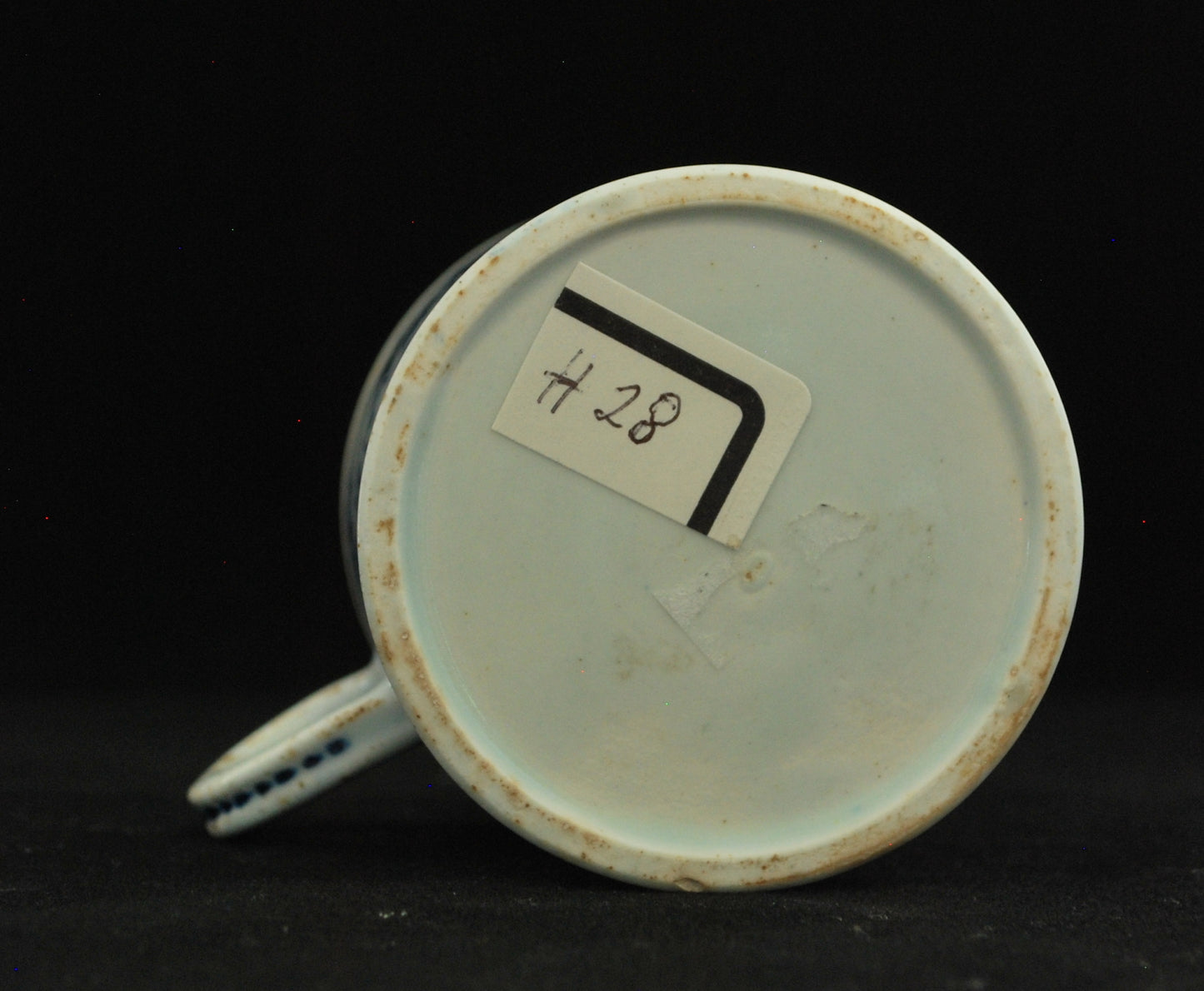 Coffee Can: Flowers & Insects