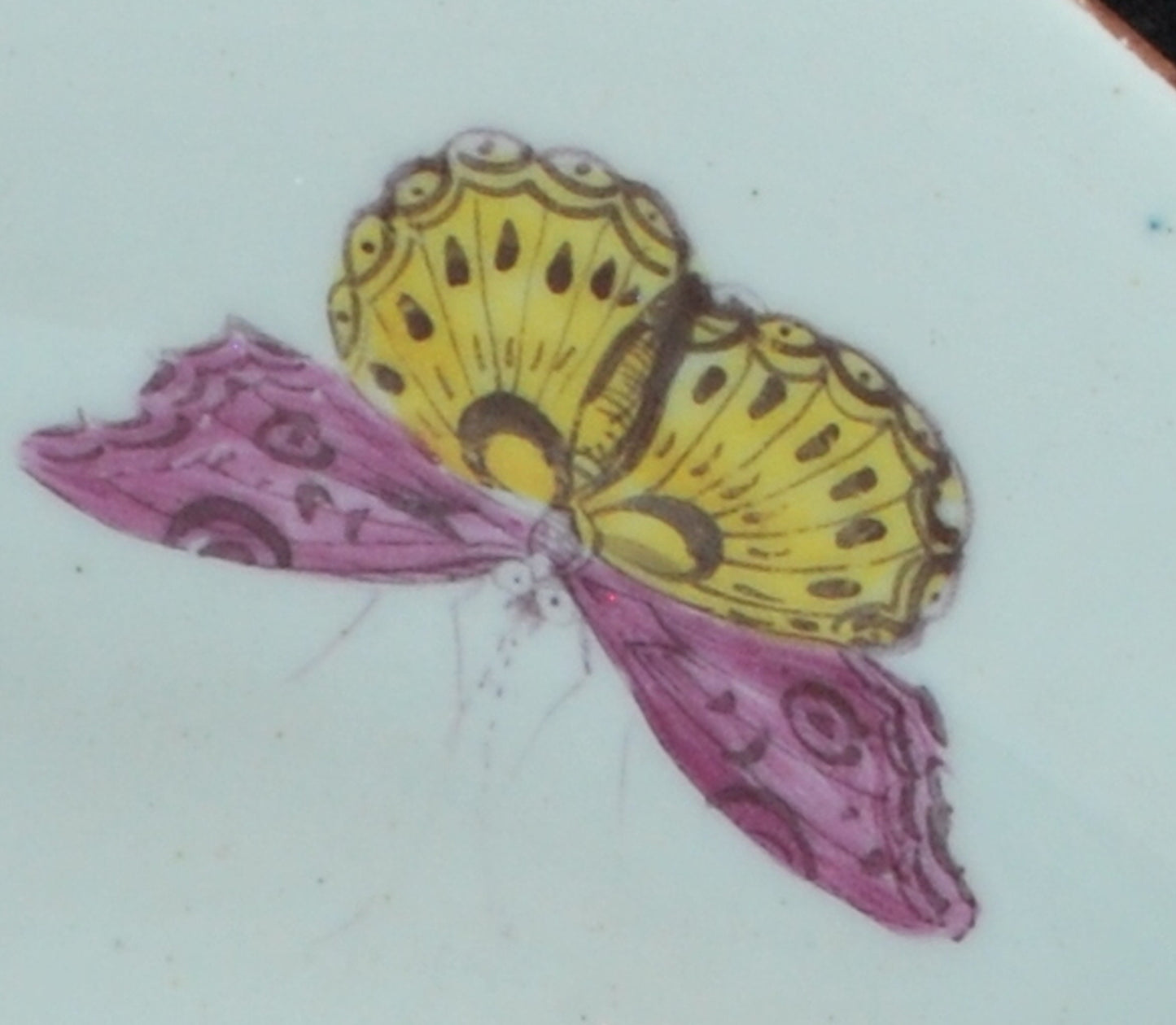Botanical plate, Octagonal