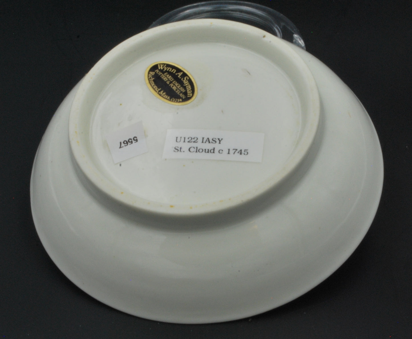 Saucer - Prunus. Tremblant.