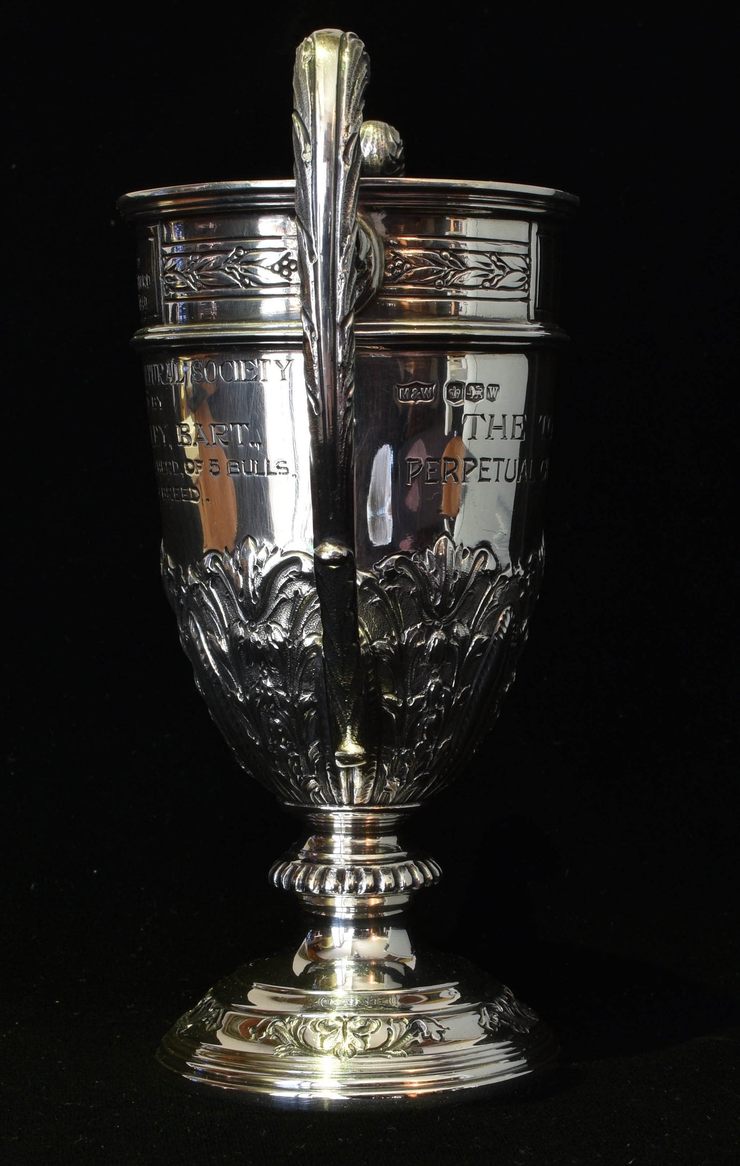 Trophy - Loving Cup shape