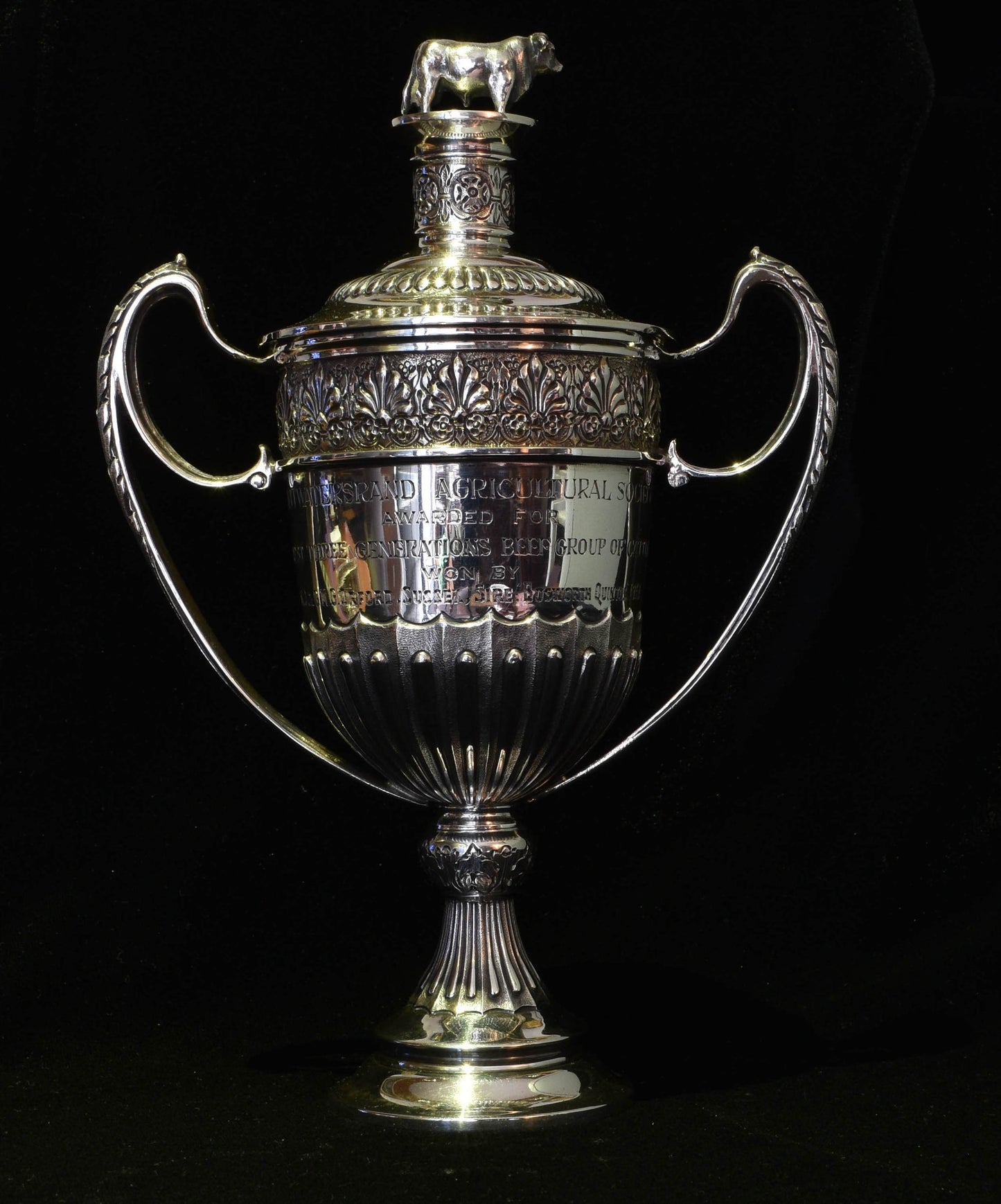 Loving cup trophy surmounted by a bull