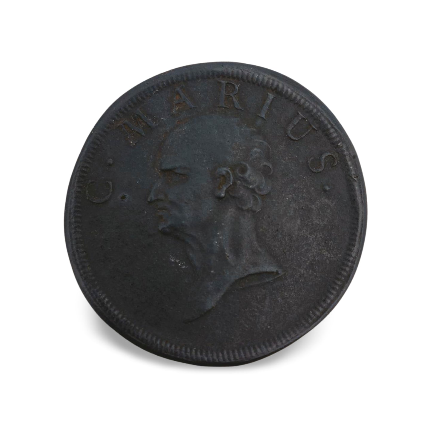 Medal: C. MARIUS DEFAITE DES CIMBURUS A.R.551.