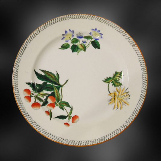 Plate Botanical