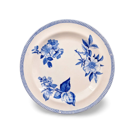 Plate: Botanical specimens