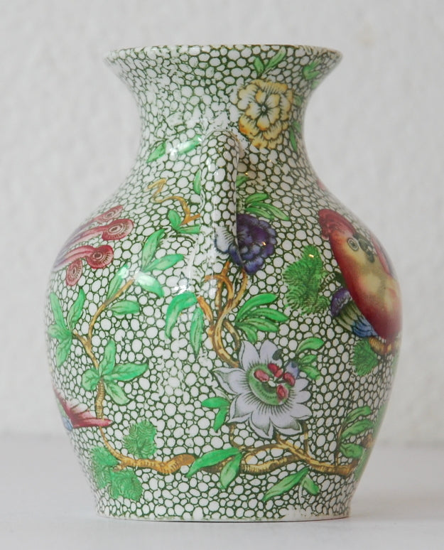 Portland Vase: Parrot
