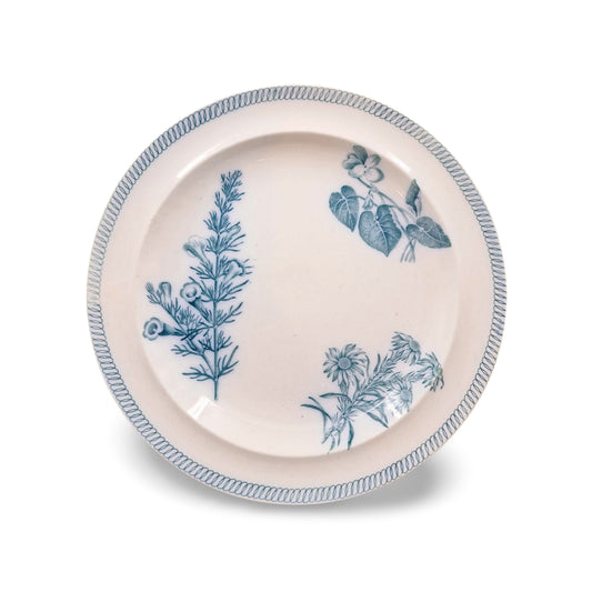 Pair Botanical plates, circle border