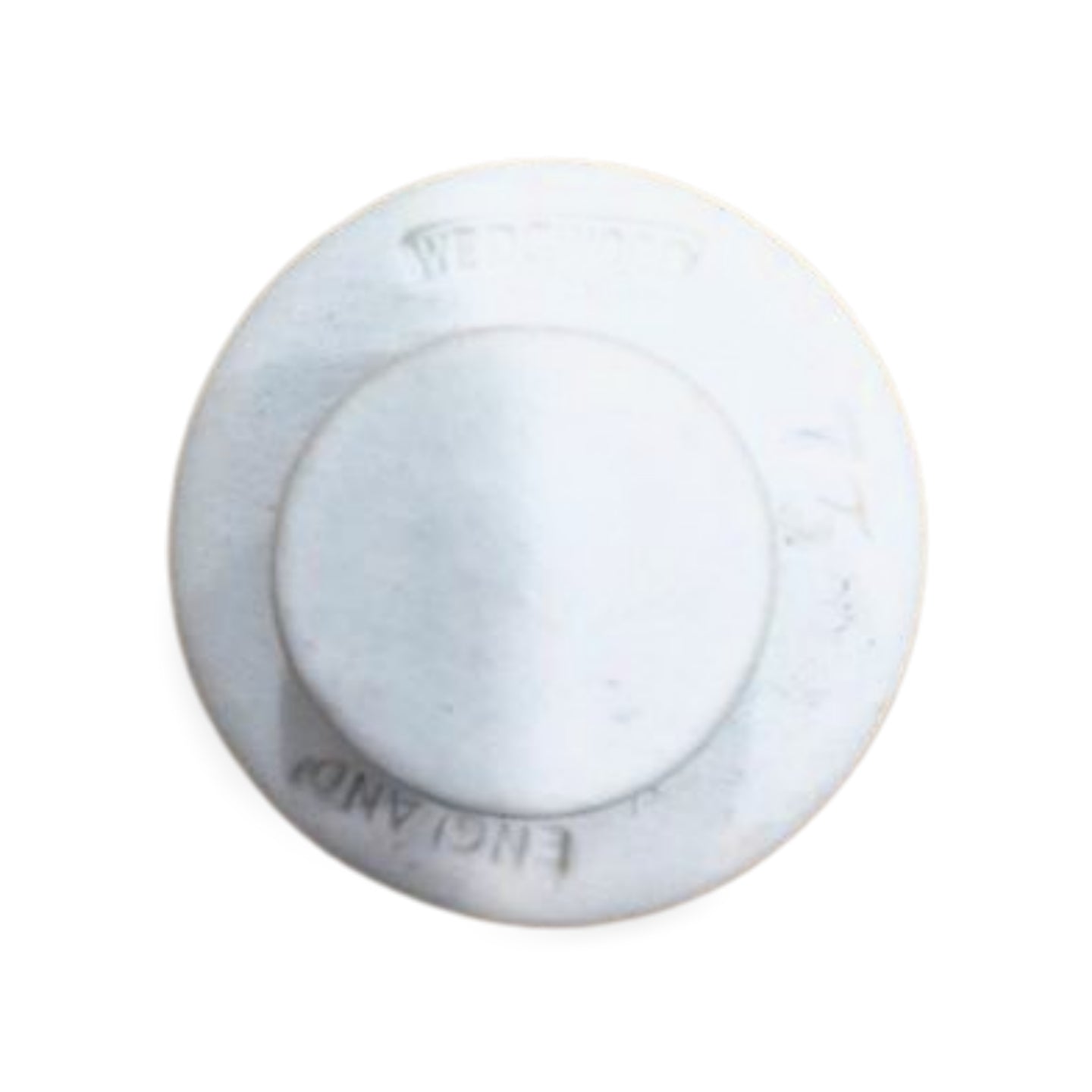 WIS Seminar Button - Terracotta  on White