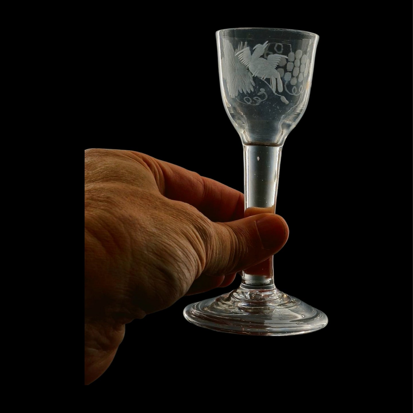 Wine Glass