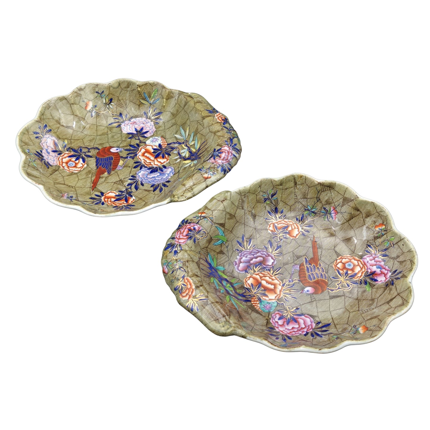 Shell Dishes