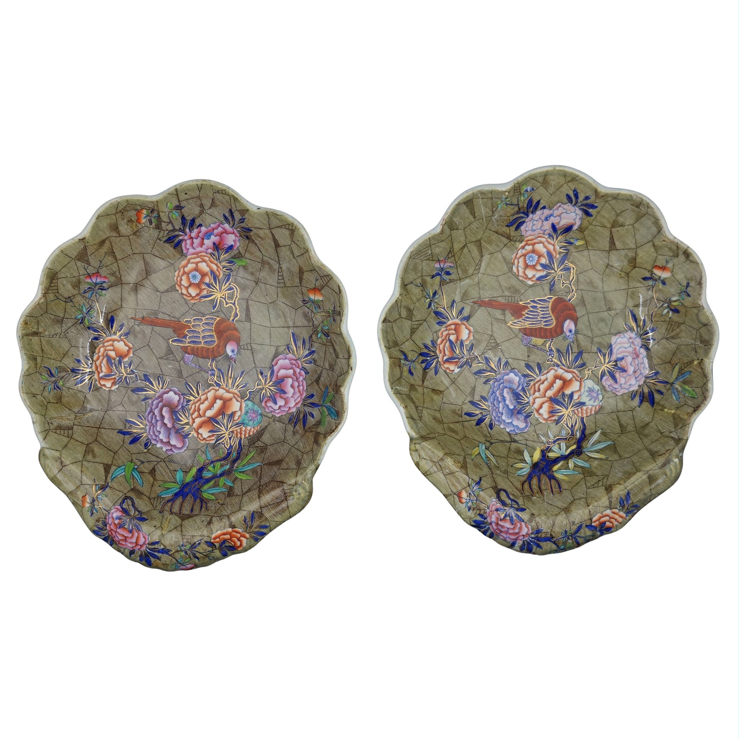Shell Dishes