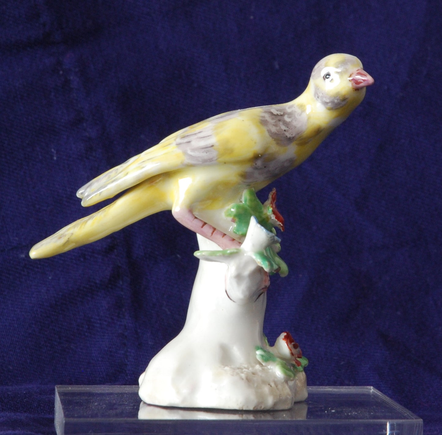 Model of a finch (1)